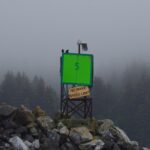 Feroce June newsletter: Hushed or Shushed? Listening to the Signals in CRE